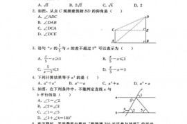 2021年石家庄43中初三升学模拟试卷数学试卷