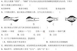 人教版八年级上册生物期末考试卷带答案