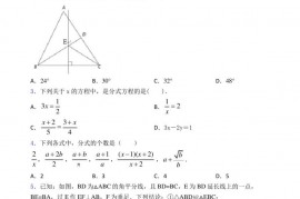 2020-2021上海上海外国语大学附属浦东外国语学校初二数学上期中第一次模拟试卷附答案