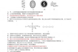 2019届福建省师大附中高三上学期期中考试生物试题