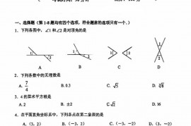 人大附中朝阳学校2022-2023学年度第二学期期中调研初一年级数学试卷