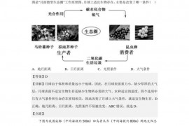 山东省东营市第一中学2022-2023学年高一上学期选考科目测试地理试题