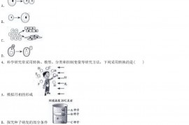 2020浙江省绍兴市中考生物真题及答案