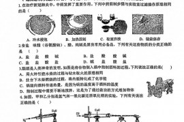 树兰中学2021学年第一学期期中测试卷九年级科学