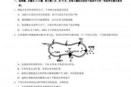 东北师大附中2021—2022学年下学期高三理科综合能力测试(六)