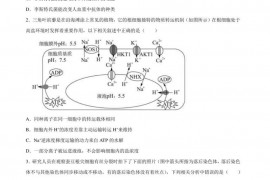 西宁市第二中学2022届高三第一次模拟理科综合能力测试