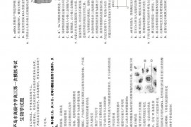 2022届辽宁省葫芦岛市高级中学高三第一次模拟考试生物学试题