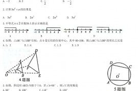 2021年重庆渝中中考数学真题及答案(A卷)