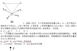 2022第一学期期中考试高三物理试题及参考答案