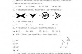 2023年广西大学附中、三美学校中考数学模拟试卷（二）（3月份）