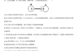 2020年安徽省安庆市第一中学高三生物上学期期中试卷及参考答案