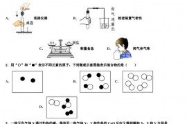 2023-2024学年北大附中化学九年级第一学期期末质量检测试题