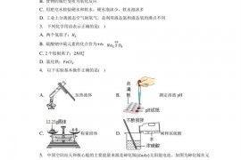 2023年广东省深圳市福田区红岭中学石厦初中中考化学模拟试卷（3月份）