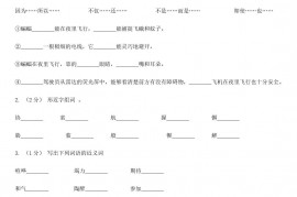 2020年四川泸州小升初语文真题及答案D卷