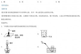 2021年陕西延安中考化学真题及答案