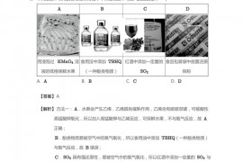 2019~2020学年10月北京朝阳区北京陈经纶中学高三上学期月考化学试卷(详解)