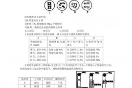 福州一中2001--2002年高三模拟考试理科综合