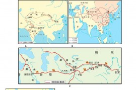 2021年上海奉贤中考历史试题及答案