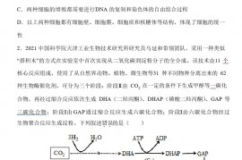 2022届天津市河北区高三二模生物试题(含答案解析)