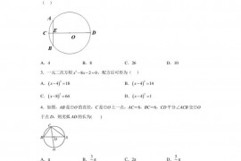 2023年湖北省武汉外国语学校（初）一模数学