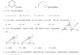 2021北京陈经纶中学分校初二（上）期中数学