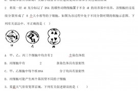 山东省烟台市高三生物二模试卷(含解析)-人教版高三全册生物试题