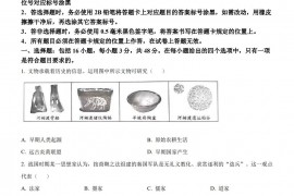 2023年四川省宜宾市中考历史真题