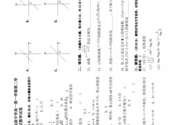 2020-2021学年西藏林芝市第二高级中学高一第一学期第二学段（期末）考试数学试卷