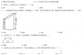 2020年上海文来中学小升初数学真题及答案