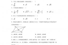 福建省厦门双十中学2022-2023学年八年级下学期期中考试数学试题