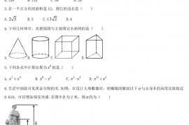 2020年甘肃省武威市中考数学真题及答案