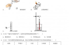 2020年上海中考化学试题及答案