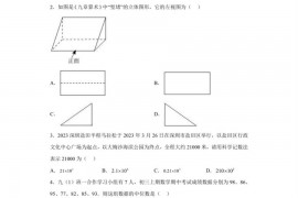 2023年广东省深圳市南山外国语学校（集团）中考二模数学试卷