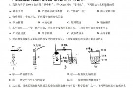 2023年四川省广安市中考化学真题