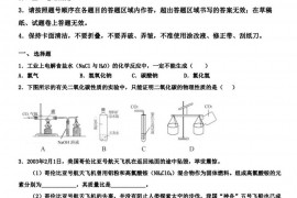 北京中国人民大学附属中学2019年中考化学二月一模拟试卷