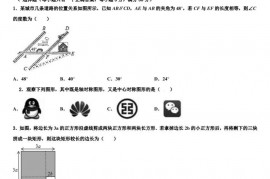 湖南省衡阳市八中学2022年中考数学模试卷