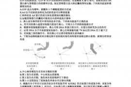 襄阳五中2022届高三年级适应性考试（二）生物试题