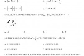 北京市中国人民大学附属中学2020届高三数学3月月考试题