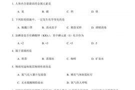 上海民办位育中学2022学年第一学期学科练习九年级化学