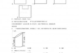 2020-2021成都石室天府中学小学数学小升初模拟试题附答案