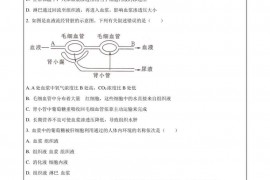 呼和浩特市第二中学2022—2023学年第一学期期中考试生物试卷