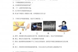 2022年湖北省武汉市江岸区武汉二中广雅中学中考物理模拟试卷