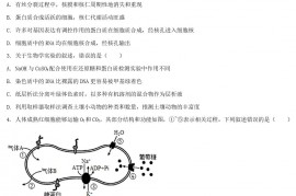 2021年河北普通高中学业水平选择性考试生物真题及答案