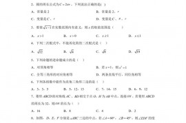 福建省厦门外国语学校2022-2023学年八年级下学期期中考试数学试题