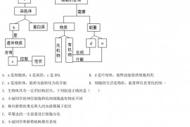 2022年湖北省宜昌市中考生物真题及答案