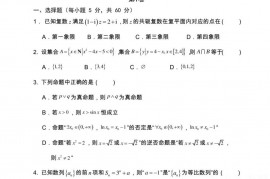 西藏拉萨中学高三年级（2019届）第四次月考理科数学试卷