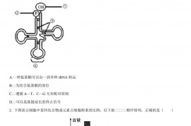 2020年安徽师范大学附属中学高三生物月考试卷及答案解析