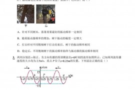 2022-2023学年山东省青岛中学高三上学期期中物理试题