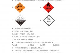 2022年广东省广州市番禺区恒润实验学校中考化学二模试卷