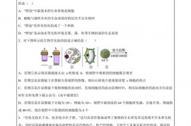 衡阳市八中2022级高一第二学期开学考试生物试卷